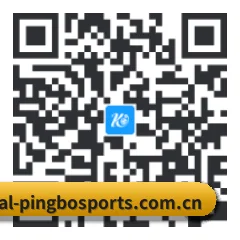 iOS 苹果版 二维码